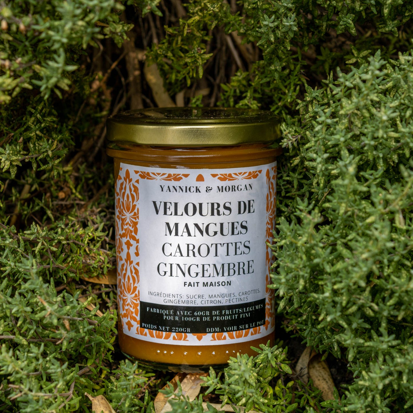 Velours de Mangues, Carottes & Gingembre