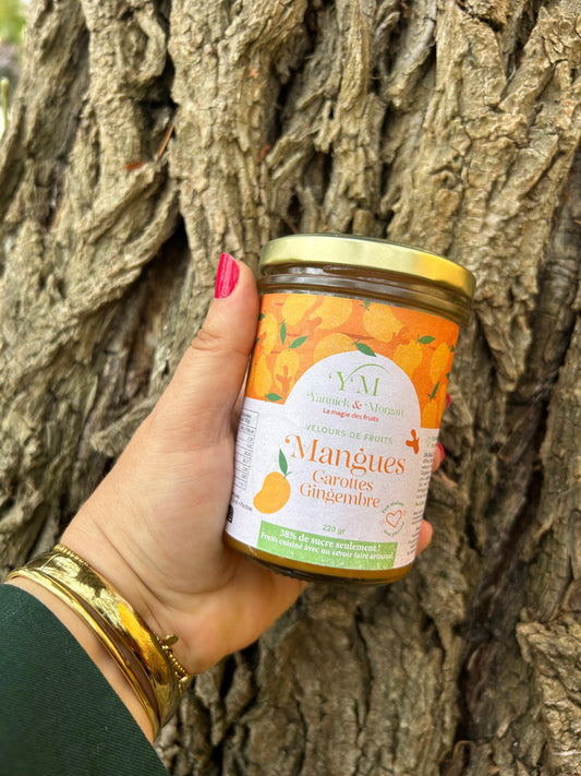 Velours de Mangues, Carottes & Gingembre